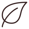 Traditional Leaf Silhouette